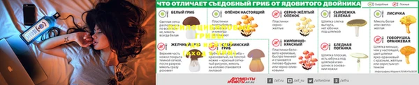 mix Нефтекумск